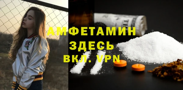 молекула духа Вязьма