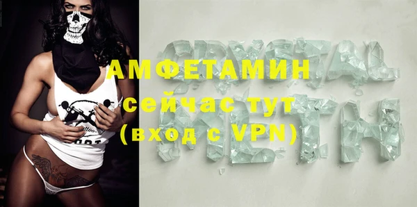 стаф Вяземский