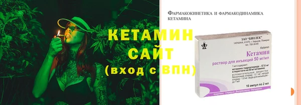 стаф Вяземский