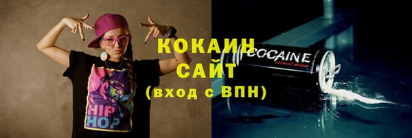 дживик Сосновка