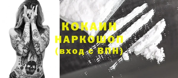 стаф Вяземский