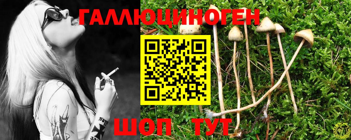 Вейп ТГК  Канабис  Меф кристаллы  Выкса  Гашиш  Вход с VPN  Alpha-PVP СК   ГАШИШ  МДМА 