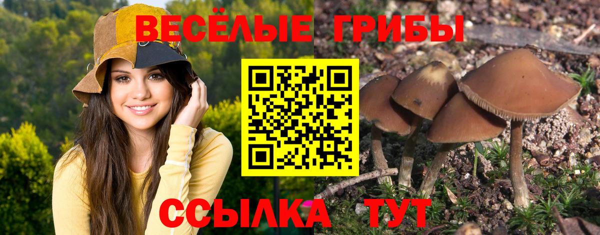 Псилоцибиновые грибы прущие грибы Выкса