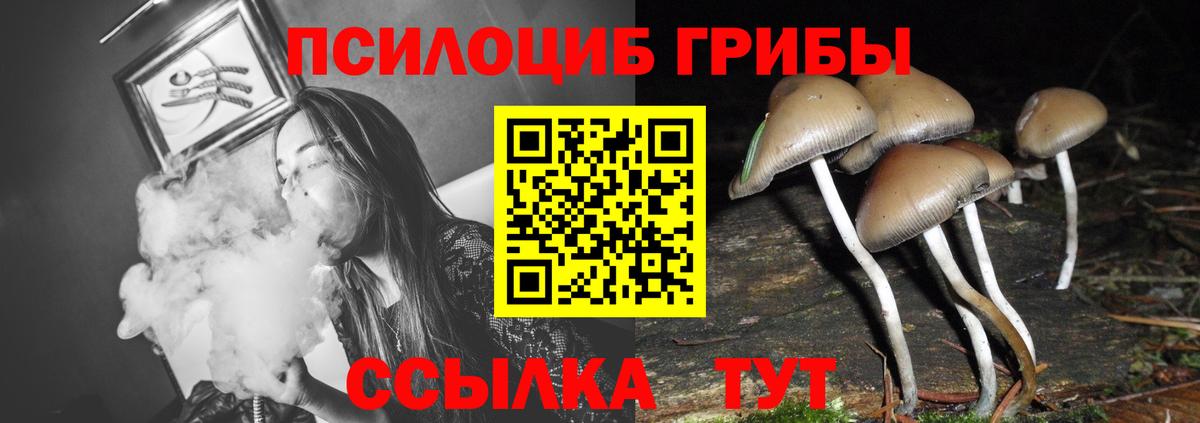 Псилоцибиновые грибы мицелий  Псилоцибиновые грибы прущие грибы  Выкса  Вход с VPN 